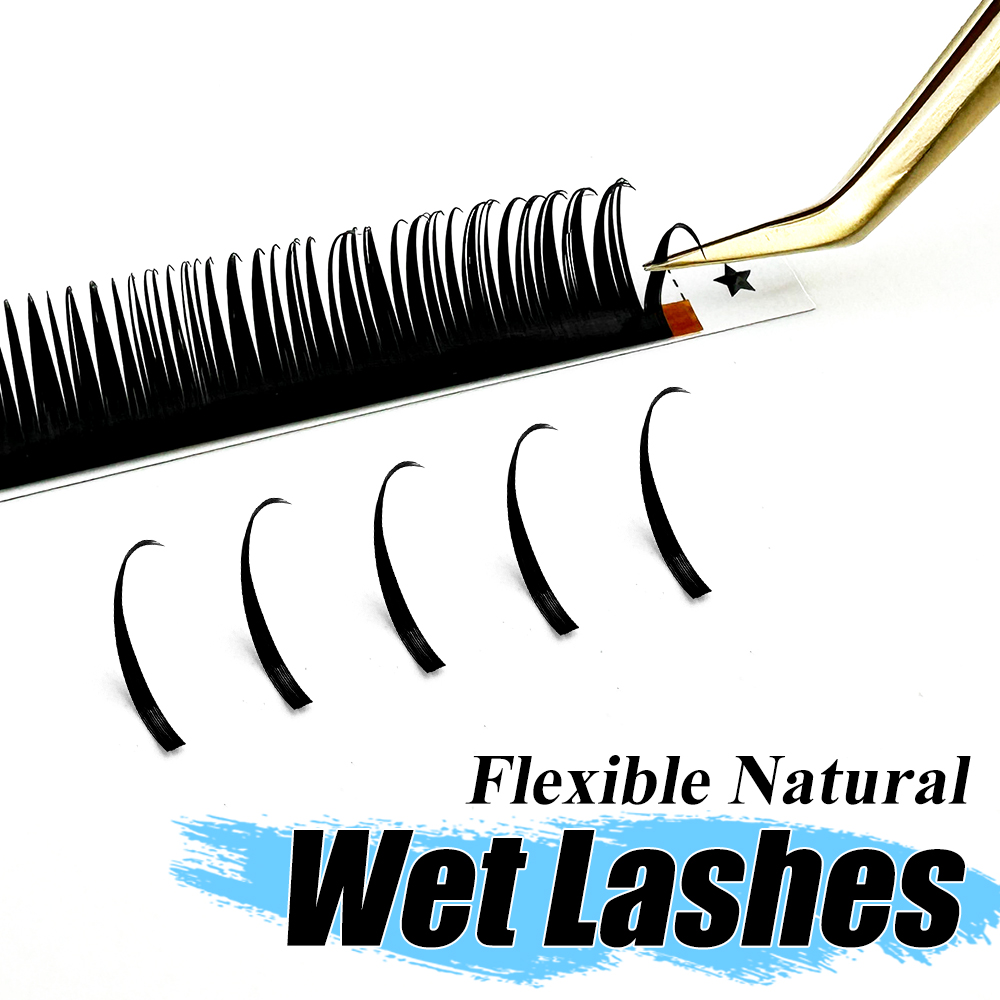Eyelash Extension Hybrid - Abonnie pemanjang bulu mata basah bulu